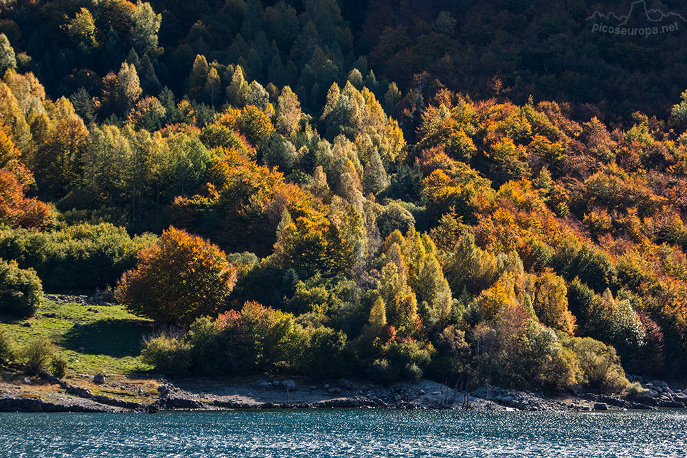 Los bosques que rodean al embalse de Baserca (río Noguera Ribagorzana), muy próximo a la boca Sur del Tunel de Vielha, justo en la confuencia con el inicio del Valle de Salenques.